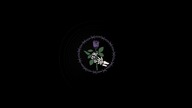 Emo R&B Type Beat - Dead Rose