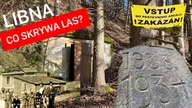 CO SKRYWA LAS WE WSI KTÓREJ NIE MA