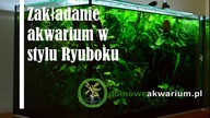 Ryoboku set up // Zakładanie akwarium w stylu Ryoboku