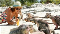 Sailing the Bahamas - iguanas, turtles and how girls have fun on saturday night on a sailboat!