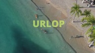 URLOP Strange Walmart liks