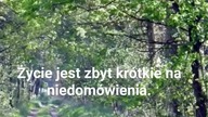 Na słoneczne popołudnie