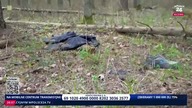 1336 Tylko u nas! Wstrząsający reportaż Stanisława Pyrzanowskiego i Łukasza Wróblewskiego Piąta kolu