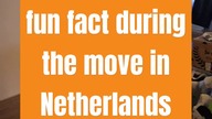 When moving #moving #in #netherlands #holland #funfacts #intetesting #reels #shorts #youtubeshorts