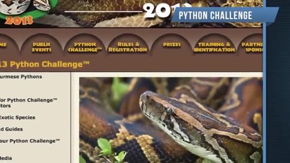 Python vs ekspert od węży
