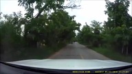 Motocyklista kontra wąż