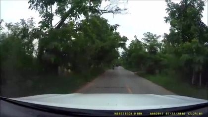 Motocyklista kontra wąż