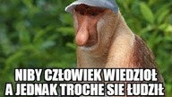 J. Teglund | O mentalności niewolniczej w trakcie wyborów