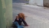 taki tam spacerek