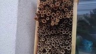 Drugi sezon skradzionych naturze murarek.