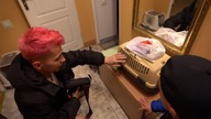 NOWY BRAT DLA MOJEGO KOTA! *REAKCJA ŁAPKI*