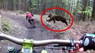 Top 5 najstraszniejszych rzeczy złapanych na kamerze GoPro