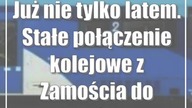Sylwester bez fajerwerków? Coraz więcej takich apeli.  Również od rządzących