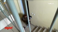 zdrady 1 (ODC.  10) bandicam 2025-02-09 21-23-58-275