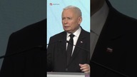 kaczynski nawrocki zboje