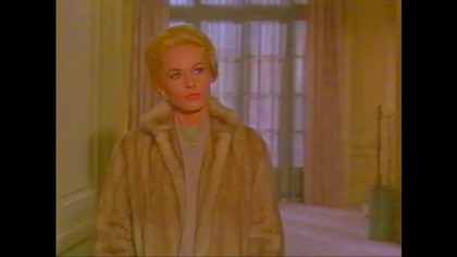 Ptaki...  VID-1702047455531