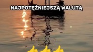 Jaka jest najpotężniejsza waluta Świata?