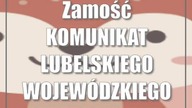 Świdnik: Automatyzacja logistyki w Allegro dzięki integracji z paczkomatami InPost.  ...