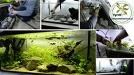 Zakładanie akwarium krok po kroku.  Start akwarium 100l.  Akwarium Low-Tech.  Akwarium niskobudżetowe.