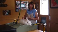 Angora -dodatek-jak to się robi w cywilizowanym kraju