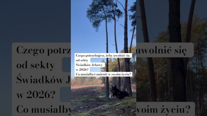 Odejście od sekty w 2026? Jak byście to zrobili?