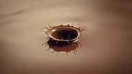 TV6 - Fragment bloku reklamowego, zapowiedzi i ogłoszenie społeczne (05. 03. 2022)