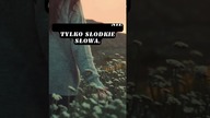Dziewczyna i słodkie słowa