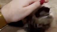whos that cutie? 