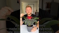 Ustawa legalizująca 15 g jeszcze w lipcu w Semie! Znamy treść ustawy