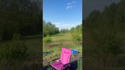 Sarna i bażant nad Niedźwiadkiem.  #sarna #Bazant #niedzwiadek #dziczyzna #przyroda #wędkarstwo #ryby