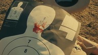broken horses