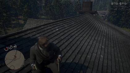 Red Dead Redemption 2 - PRO #