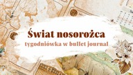 Tydzień nosorożca | Trzeci tydzień sierpnia w bullet journal | Weekly plan with me
