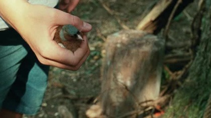 Adoracja 2019 Lektor pl