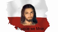 Trwajcie we Mnie, a Ja w was trwać będę    ks  Sławomir Kostrzewa