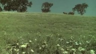 03.  Domek Na Prerii S02E03 (PL)