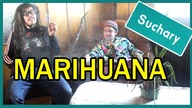 MARIHUANA || Suchary #30