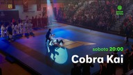 Polsat Seriale - Blok reklamowy, ogłoszenie społeczne i zapowiedzi w bożonarodzeniowej oprawie grafi