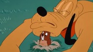 Pluto - Pluto i suseł