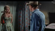 Nevada. Smith. 1966. Lektor. .pl