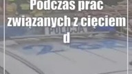 Tragiczny wypadek przy cięciu drzewa