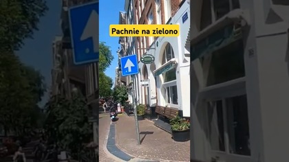 Amsterdamskie coffeshopy.  #autostop #travel #vlog #podróże #coffeeshop #amsterdam #śmieszne