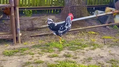 We ended up at a strangers farm  and it was exactly what we needed 