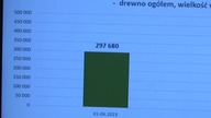 Masowa wycinka drzew za rządów Tuska