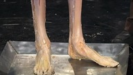 ANATOMIA DLA POCZĄTKUJĄCYCH | CZ. 1 - RUCH | LEKTOR PL