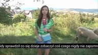 Niektórzy członkowie Platformy Obywatelskiej uciekają na Słowację mp4 686x432