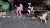 Małpa na rowerze próbuje porwać dziecko +18