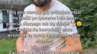 Pokonaj stres przy ściąganiu szelek!  #Psy #Szelki #PsiaPsychologia
