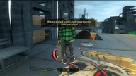 Shaun White Skateboarding 2010