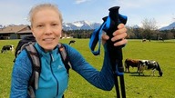 WIELKI POWRÓT KRÓW